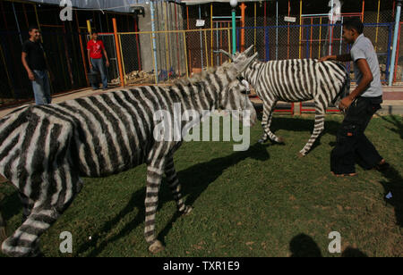 Bringing Kids Outdoors, October 2009