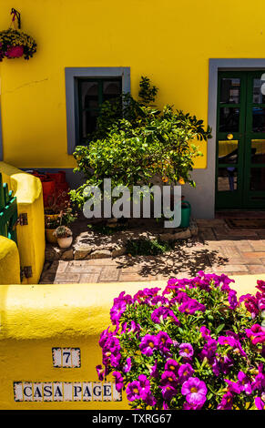 yellow-house-purple-flowers-