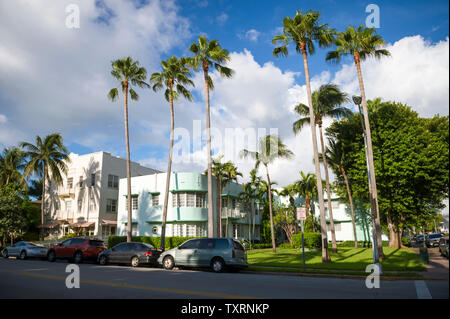 Typical colorful Art Deco architecture with tropical palm trees on a quiet residential street in South Beach, Miami, Florida Stock Photo