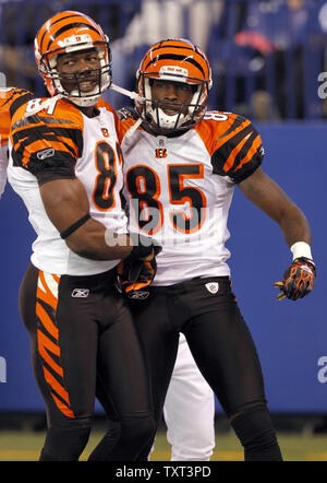 Chad Ochocinco of the Cincinnati Bengals scores a touchdown during