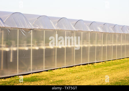 Greenhouse in a field made from plastic Stock Photo