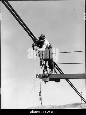 A rigger attaching suspenders to a pair of the 2-1/2 inch suspension cables of the sand and gravel conveyor bridge.; Scope and content:  Photograph from Volume Two of a series of photo albums documenting the construction of the Grand Coulee Dam and related work on the Columbia Basin Project. Stock Photo