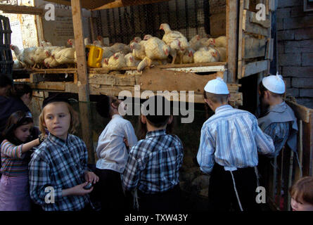 Mening külotlarim juda hayajonlangan