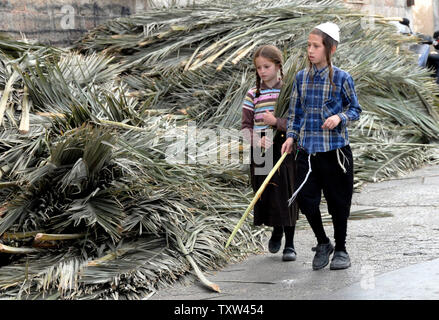 Ultra-Orthodox Jewish children walk by a market selling  palm branches for the roof of the sukkah, a temporary booth, built for the upcoming holiday Sukkot in Mea Shearim in Jerusalem, September 24, 2007. Religious Jews eat, sleep and learn in the sukkah during the seven day holiday that remembers  the Israelites wanderings for 40 years in the desert after leaving Egypt. (UPI Photo/ Debbie Hill) Stock Photo