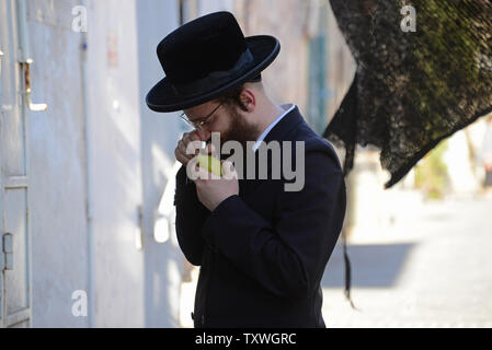 An Ultra Orthodox Jew wears magnifying goggles to inspect the Citron  News Photo - Getty Images