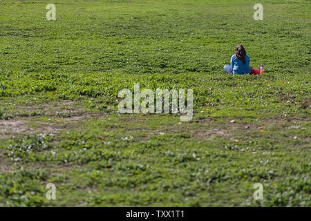 Single adult woman sitting in a park, reading a book. Stock Photo