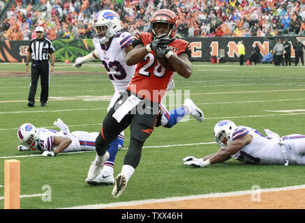 Cincinnati Bengals Halfback Joe Nixon 28 Editorial Stock Photo - Stock  Image