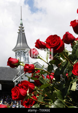 Horseshoe, Roses, Run cheapest for Roses, Kentucky Derby, Watercolor, Churchill Downs