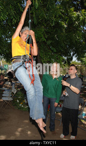 Folk singer Joan Baez pulls herself up a walnut tree to raise awareness about saving a 14-acre urban farm threatened with demolition in Los Angeles on May 29, 2006. Protesters vowed to peacefully resist eviction from the garden, farmed by about 350, mostly Hispanic families on which the landowner wants to build a warehouse. (UPI Photo/Jim Ruymen) Stock Photo