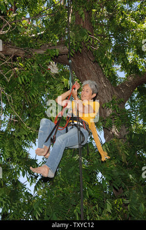 Folk singer Joan Baez pulls herself up a walnut tree to raise awareness about saving a 14-acre urban farm threatened with demolition in Los Angeles on May 29, 2006. Protesters vowed to peacefully resist eviction from the garden, farmed by about 350, mostly Hispanic families on which the landowner wants to build a warehouse. (UPI Photo/Jim Ruymen) Stock Photo