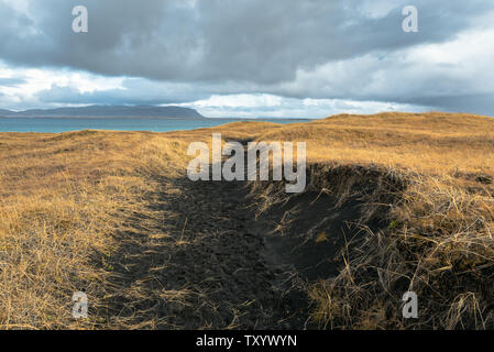 Empty narrow trail through black sand dunes along the coast of southern Iceland in autumn. Concept of exploration. Stock Photo