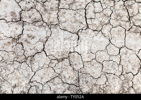 Cracked dry desert soil background Stock Photo