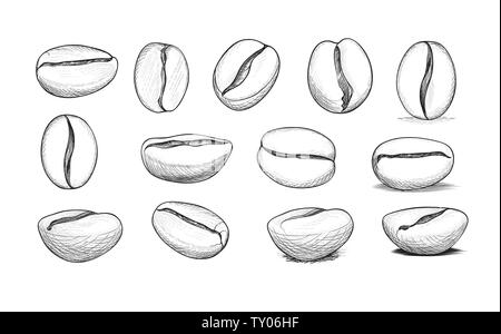 Coffee bean icon set. Hand drawn doodle sketch vector symbol of coffee beans harvest. Hot drink label design elements Stock Vector