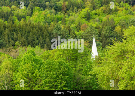 Church steeple and new spring leaves, Vermont Stock Photo