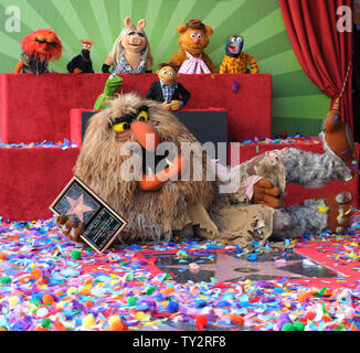 Muppets Animal, Pepe, Miss Piggy, Fozzie, Gonzo, (L-R, rear) and Kermit, Walter and Sweetums attend the Inimitable Muppets unveiling ceremony honoring The Muppets  with the 2,466th star on the Hollywood Walk of Fame in Los Angeles on March 20, 2012. UPI/Jim Ruymen Stock Photo