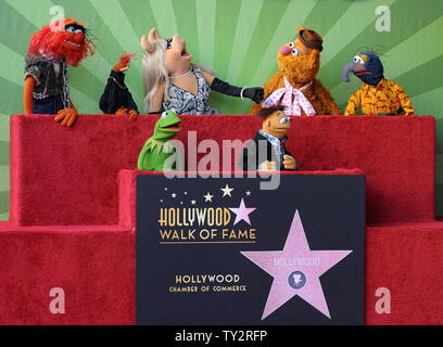 Muppets Animal, Pepe, Miss Piggy, Fozzie, Gonzo, (L-R, rear) and Kermit and Walter (L-R), foreground) attend the Inimitable Muppets unveiling ceremony honoring The Muppets  with the 2,466th star on the Hollywood Walk of Fame in Los Angeles on March 20, 2012. UPI/Jim Ruymen Stock Photo