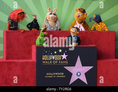 Muppets Animal, Pepe, Miss Piggy, Fozzie, Gonzo, (L-R, rear) and Kermit and Walter (L-R), foreground) attend the Inimitable Muppets unveiling ceremony honoring The Muppets  with the 2,466th star on the Hollywood Walk of Fame in Los Angeles on March 20, 2012. UPI/Jim Ruymen Stock Photo