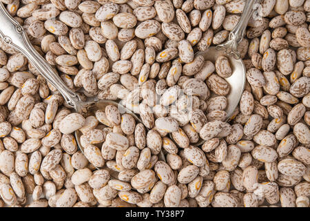 Pinto Beans Close Up Top view, Food Background, Dried Beans, Legume Stock Photo