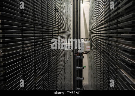 Wiesentheid, Germany. 25th June, 2019. View into the warehouse for industrial blood plasma of the Bavarian Red Cross. The temperature in the hall is -42° C. (to dpa 'Heat in Germany - cold places in Bavaria') Credit: Nicolas Armer/dpa/Alamy Live News Stock Photo
