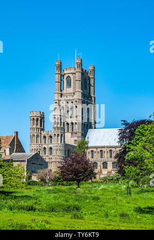 Ely Cathederal, Cambridgeshire, England May 26 2012 main tower from across fields Stock Photo