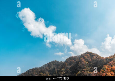 Photographed in Xiangyu Forest Park, Qinling Stock Photo