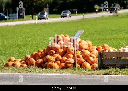 Harvest of a group of orange pumpkins for sale on a green grass, on the roadside - Bavaria, Germany, Europe Stock Photo