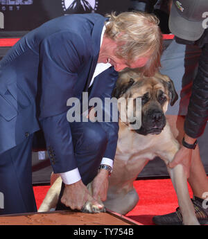 Director Michael Bay is joined by his dog Rebel during a hand and footprint ceremony immortalizing him in the forecourt of TCL Chinese Theatre (formerly Grauman's) in the Hollywood section of Los Angeles on May 23, 2017. Bay is placing Rebel's paw print in the cement as well. Photo by Jim Ruymen/UPI Stock Photo