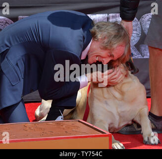 Director Michael Bay is joined by his dog Rebel during a hand and footprint ceremony immortalizing him in the forecourt of TCL Chinese Theatre (formerly Grauman's) in the Hollywood section of Los Angeles on May 23, 2017. Photo by Jim Ruymen/UPI Stock Photo