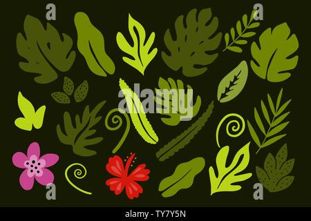 Different tropical leaves on green background. Stock Vector