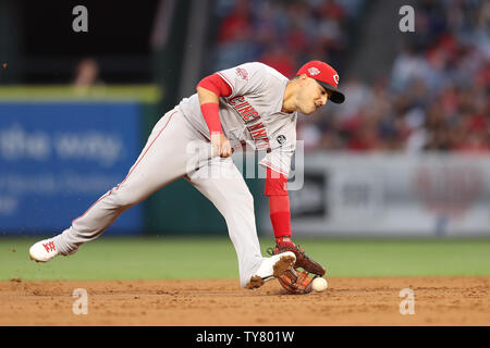 ANAHEIM, CA - AUGUST 27: Los Angeles Angels of Anaheim first baseman Albert  Pujols (5) in a 1980s California Angels style uniform during an at bat in  the second inning of a