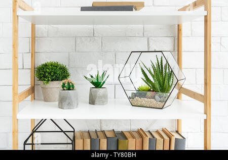 Florarium vase with succulents and cactuses in pots on rack at white brick wall background. Stock Photo