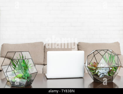 Glass florarium vases with plants and laptop on table Stock Photo