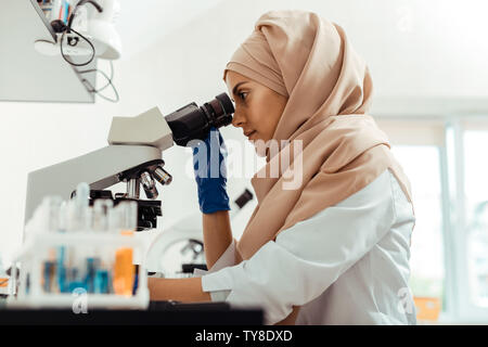 Intelligent young woman focusing on her research Stock Photo