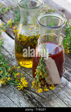 Johanniskrautöl, Johanniskraut-Öl, Rotöl, Johannisöl, Hyperici oleum, Oleum Hyperici, wird aus Johanniskrautblüten in Öl gewonnen. St. John's wort oil Stock Photo