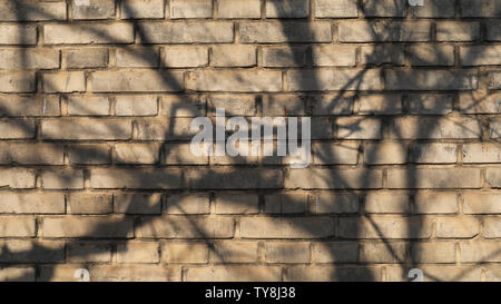 Nostalgic brick walls, mottled tree shadows Stock Photo