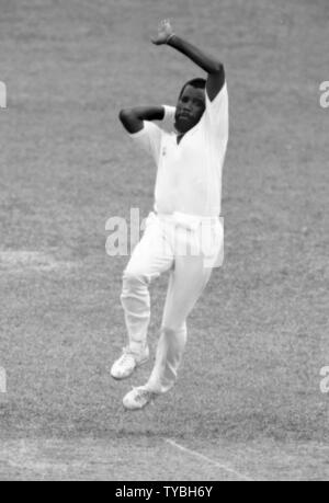 Cricket 1991   Malcolm Marshall - West Indies     Photo by Tony Henshaw Stock Photo