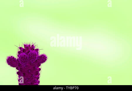 Mini cactus in surreal styled vivid magenta isolated on lime green background with free space for text and design Stock Photo