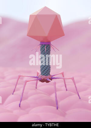 3d rendered medically accurate illustration of a bacteriophage Stock Photo