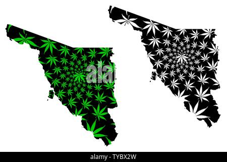 Sonora (United Mexican States, Mexico, federal republic) map is designed cannabis leaf green and black, Estado Libre y Soberano de Sonora map made of Stock Vector