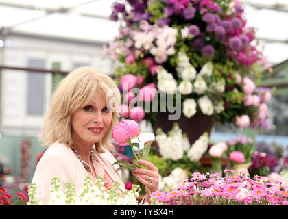 British actress Joanna Lumley poses with a flower at the 2015 Chelsea Flower Show in London on May 19, 2015.     Photo by Hugo Philpott Stock Photo