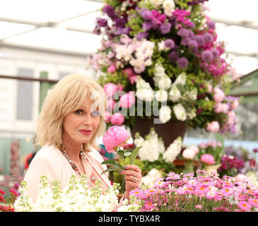 British actress Joanna Lumley poses with a flower at the 2015 Chelsea Flower Show in London on May 19, 2015.     Photo by Hugo Philpott Stock Photo