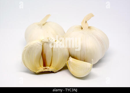 Fresh Garlic Bulbs and Clove Isolated on White Background Stock Photo