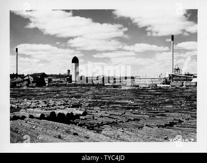 Photograph of Edward  J. Hines Sawmill and Finishing Mill; Scope and content:  Original caption: Edw. J. Hines Sawmill and Finishing Mill. Hines Lumber Co. and Roddis Lumber Co. Flambeau River at Park Falls. Stock Photo