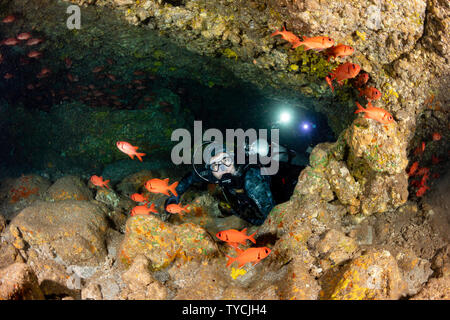 Divers (MR) and shoulderbar soldierfish, Myripristis kuntee, passing through a lava tube off the island of Lanai, Hawaii. Stock Photo