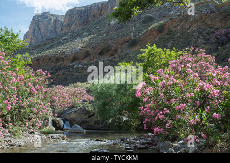 Kourtaliotis creek, Kourtaliotiko gorge, Megalopotamos, Finikas, Rethymno, Kourtaliotis, ionian sea, crete, greece, europe Stock Photo