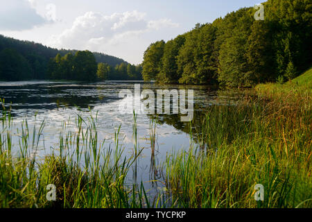 Lake near Rutka, Suwalki landscape park, Podlasie, Poland Stock Photo