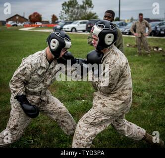 Lance Cpl. Tanner J. Commerer absorbs a punch to his nose from PFC Trevor L. Gannon during a Marine Corps Martial Arts Program training course on Joint Base Anacostia-Bolling Nov. 1, 2016. The course is designed to teach Marines what they need to be able to pass the advancement test for the gray belt, and incorporated boxing, ground combat and pugil stick training. Stock Photo