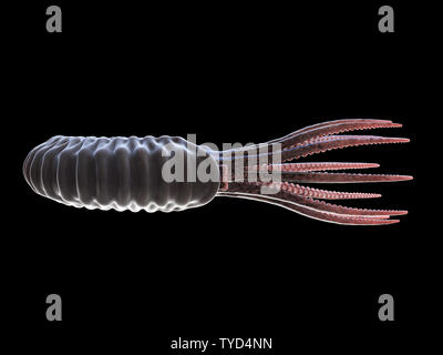 3d rendered illustration of a pre-historic marine creature - ammonite Stock Photo