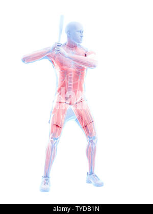 3d rendered medically accurate illustration of a baseball players muscles Stock Photo