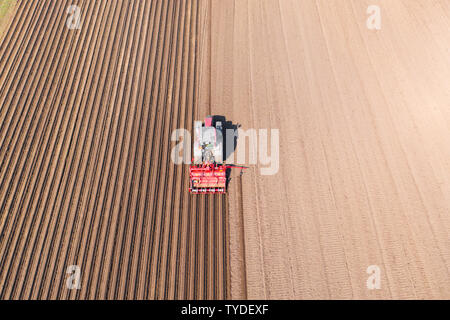 Tractor with disc harrows on farmland, top view. Tractor cuts furrows in a plowed field. Preparing the field for planting vegetables. Agricultural work with a tractor. Stock Photo